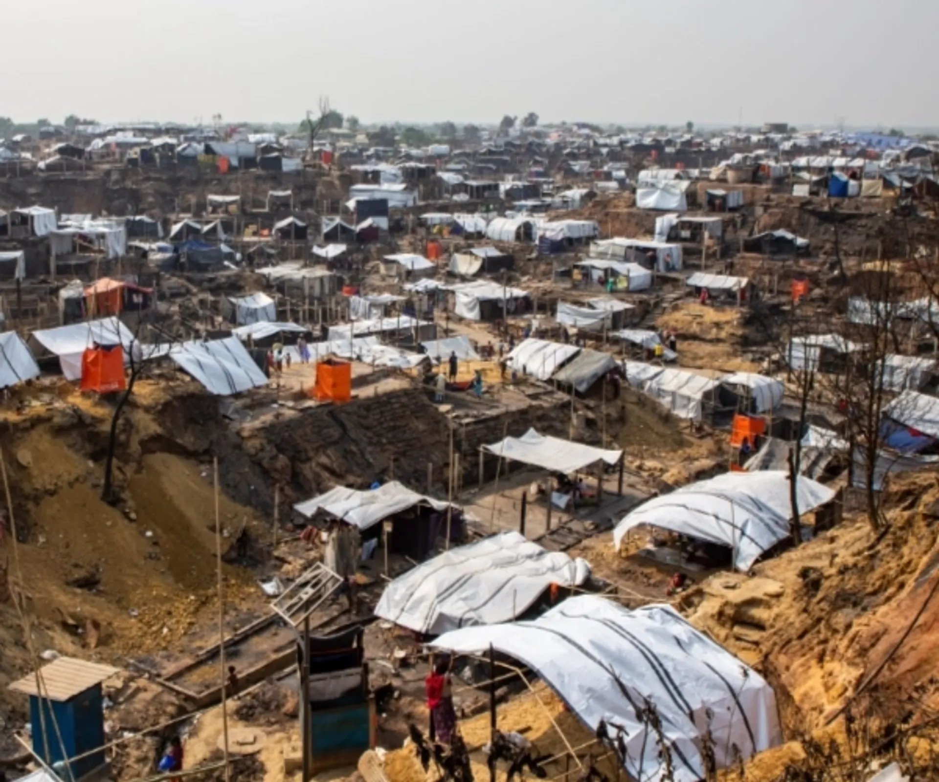Rohingya Appeal